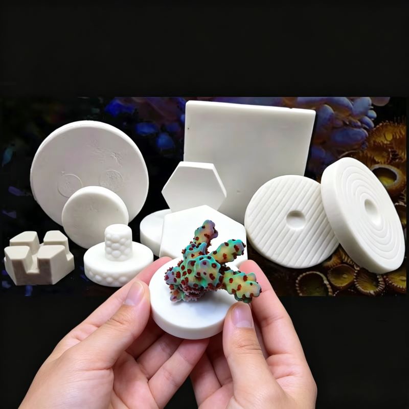 SPS Ceramic Coral Frag Plugs B - Marine Coral ulasan dan harga