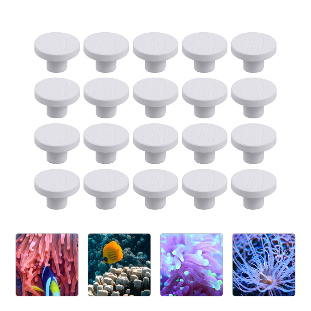 SPS Ceramic Coral Frag Plugs B - Marine Coral ulasan dan harga