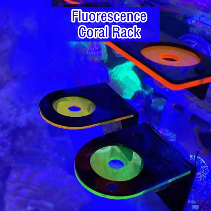Aquarium Acrylic Fluorescent C - Marine Coral ulasan dan harga