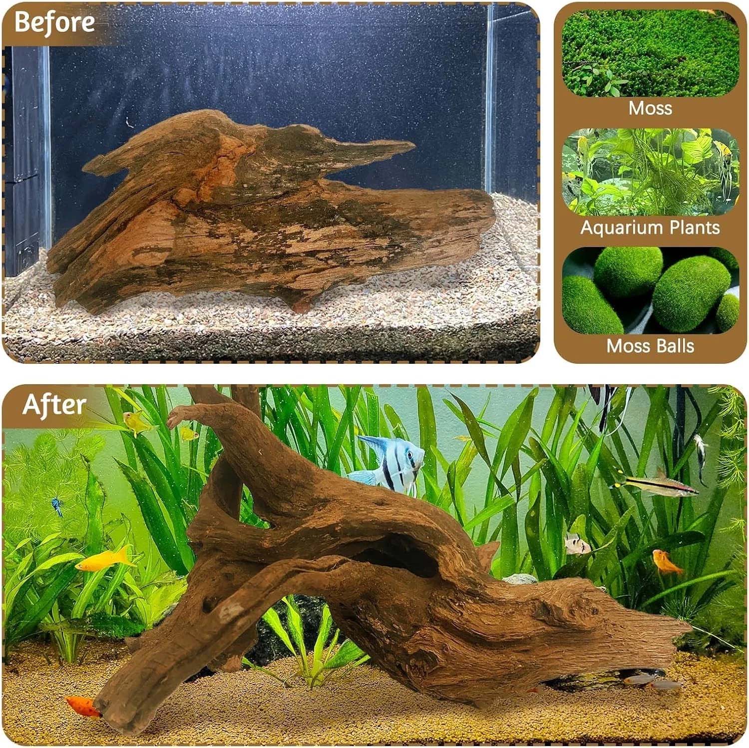 15-20CM 1Pc Natural Driftwood  - Reef Aquarium ulasan dan harga