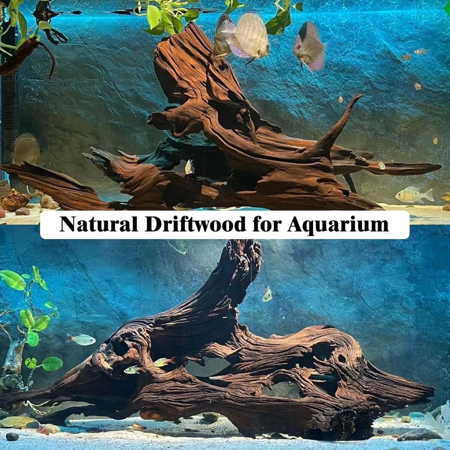 15-20CM 1Pc Natural Driftwood  - Reef Aquarium ulasan dan harga