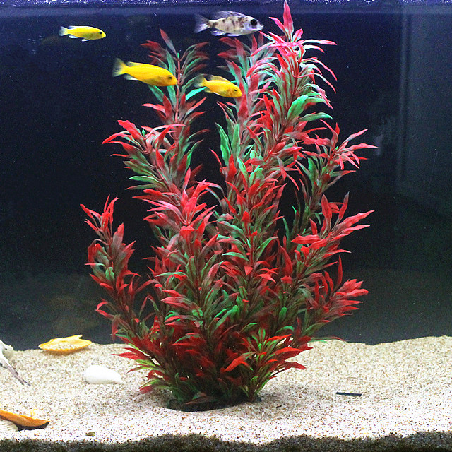 50CM Artificial Fish Tank Rare - Ocean Aquarium ulasan dan harga